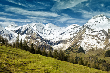 Fototapeta na wymiar Beautiful view of Alps mountains. Spring in National Park Hohe Tauern, Austria. Green valley and snowy mountains peaks. Grossglockner high alpine road.