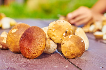 Preparation of mushrooms outdoors