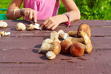 Young girl is cutting mushrooms for canning or for frying  