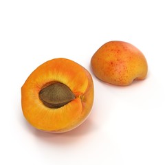 Ripe apricot's cross section with seed on white 3D Illustration