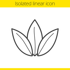 Tea leaves linear icon