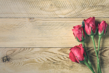 Naklejka na ściany i meble Roses flower on the wood