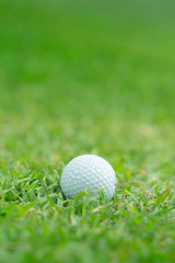 Close up of golf ball on tee,