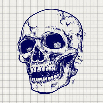 Hand drawn skull sketch vector on notebook page