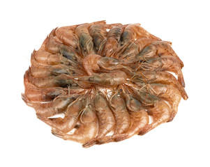 Raw shrimp isolated