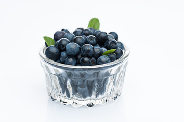 bilberry fruits at glass cup isolated