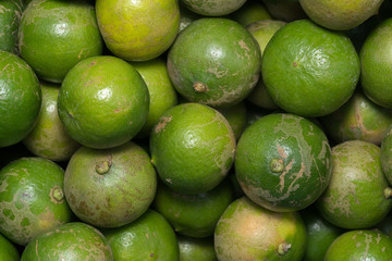 Fresh ripe limes
