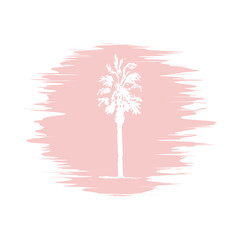 Hand drawing sketch of palm tree on blur background
