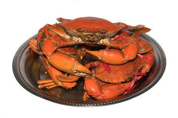 close up steamed serrated mud crab, mangrove crab
