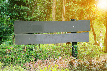 Morning sun in the forest with signboard