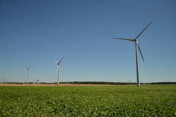 Parc éolien dans la plaine de Caen (Région de Caen-Normandie)