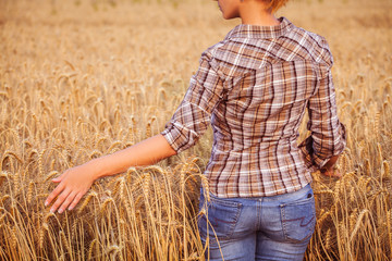 girl in plaid shirt touching of ripe wheat ears. Close-up. Horizomtal. Unrecognisable person