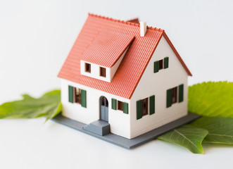 close up of house model and green leaves