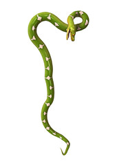 3D Rendering Green Tree Python on White