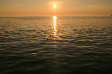Sunset on the sea.