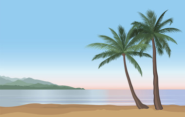 Fototapeta na wymiar Palm tree on the ocean beach. Nature floral landscape Tropical beach resort skyline. Summer holidays background
