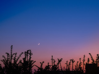 Wunderschöner Sonnenuntergang / Beautiful sunset