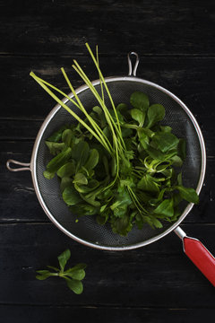 Parsley and baby spinach in vintage strainer