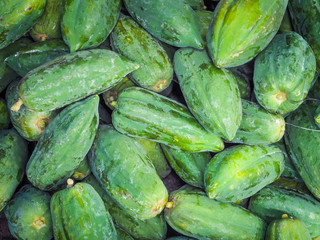 Raw green papayas background, Food images