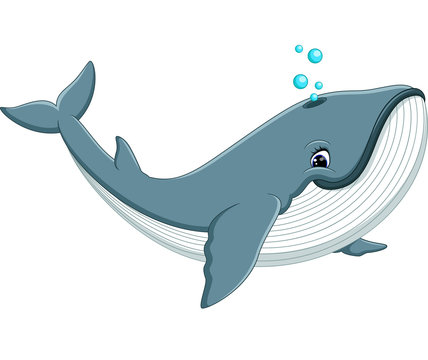 illustration of Cute whale cartoon Stock Vector | Adobe Stock