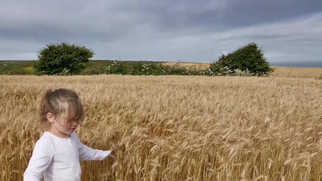 enfant caressant les bl&eacute;s