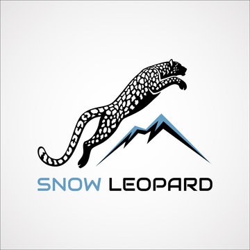 Snow Leopard vector illustration logo, sign, emblem on vector illustration