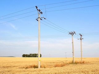 Power line on wheat field