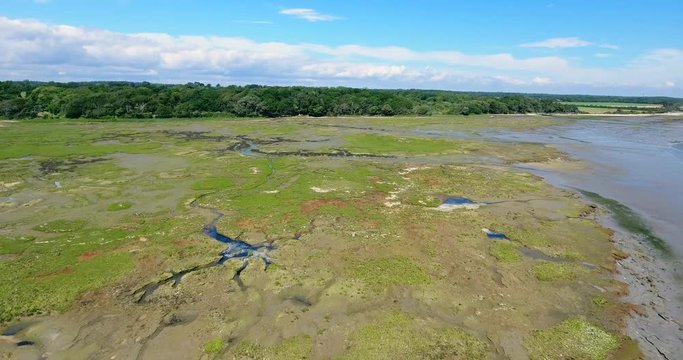 Aerial view of English marsh land with water channels and river on a woodland shore 