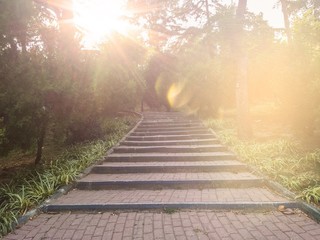Fototapeta premium Merdiven