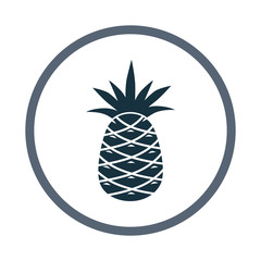 Pineapple simple icon on the background