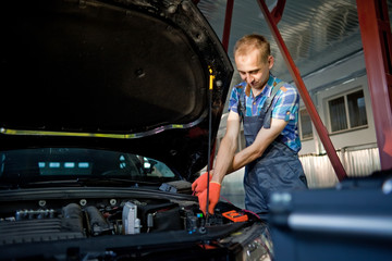 Portrait of an auto mechanic at work