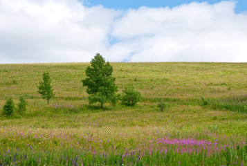 Fototapeta premium Mountain landscape