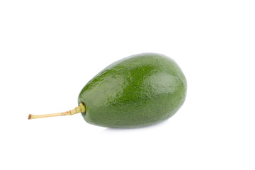 avocado on white background