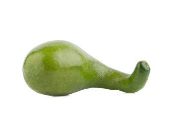 avocado on white background