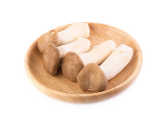 King Oyster mushroom (Eringi) on white backgroud
