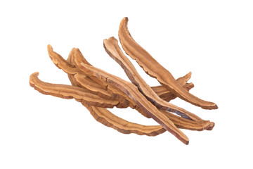 Lingzhi Mushroom on white background