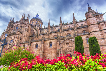 Salamanca, Spain - obrazy, fototapety, plakaty