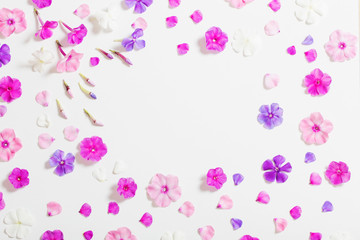 flowers on white background