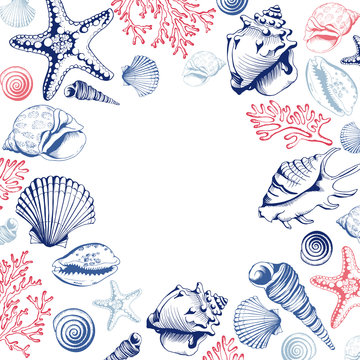 Poster with seashells, corals and starfishes