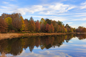 Reflection of autumn coloured trees