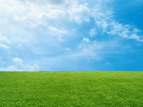 green grass on blue sky background