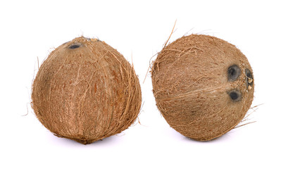 Coconut isolated on white background