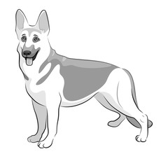 Shepherd German Dog Black & White Vector Illustration. Shepherd