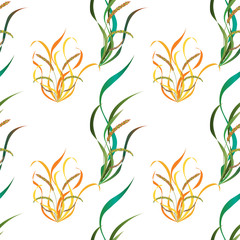 Vector illustration - flowers and leaves of plants. 