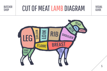 Cut of beef set. Poster Butcher diagram and scheme - Lamb