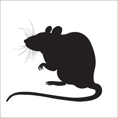 picture of silhouette of a rat