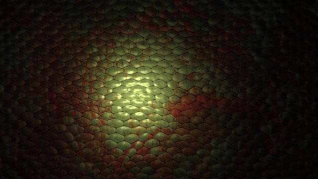 snake skin animation, crate with computer graphic