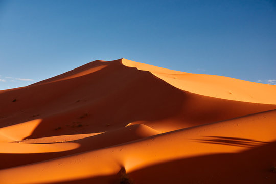 Fototapeta Sand dunes in the Sahara Desert, Merzouga, Morocco