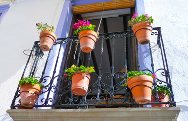 blumen am balkon