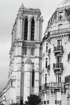 Notre Dame church, Paris, France